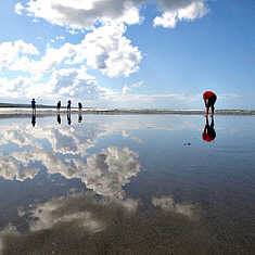 Explorica Students on Ireland Coast